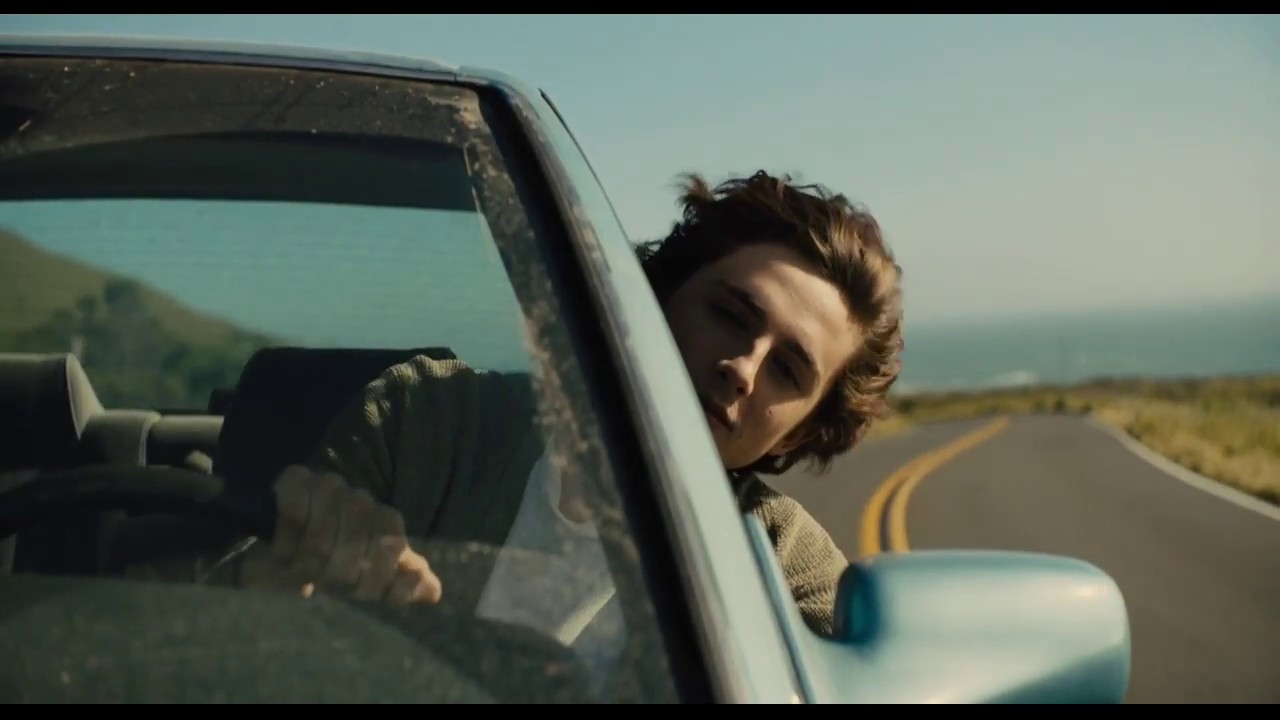 Beautiful Boy | Timothee Chalamet - Outro