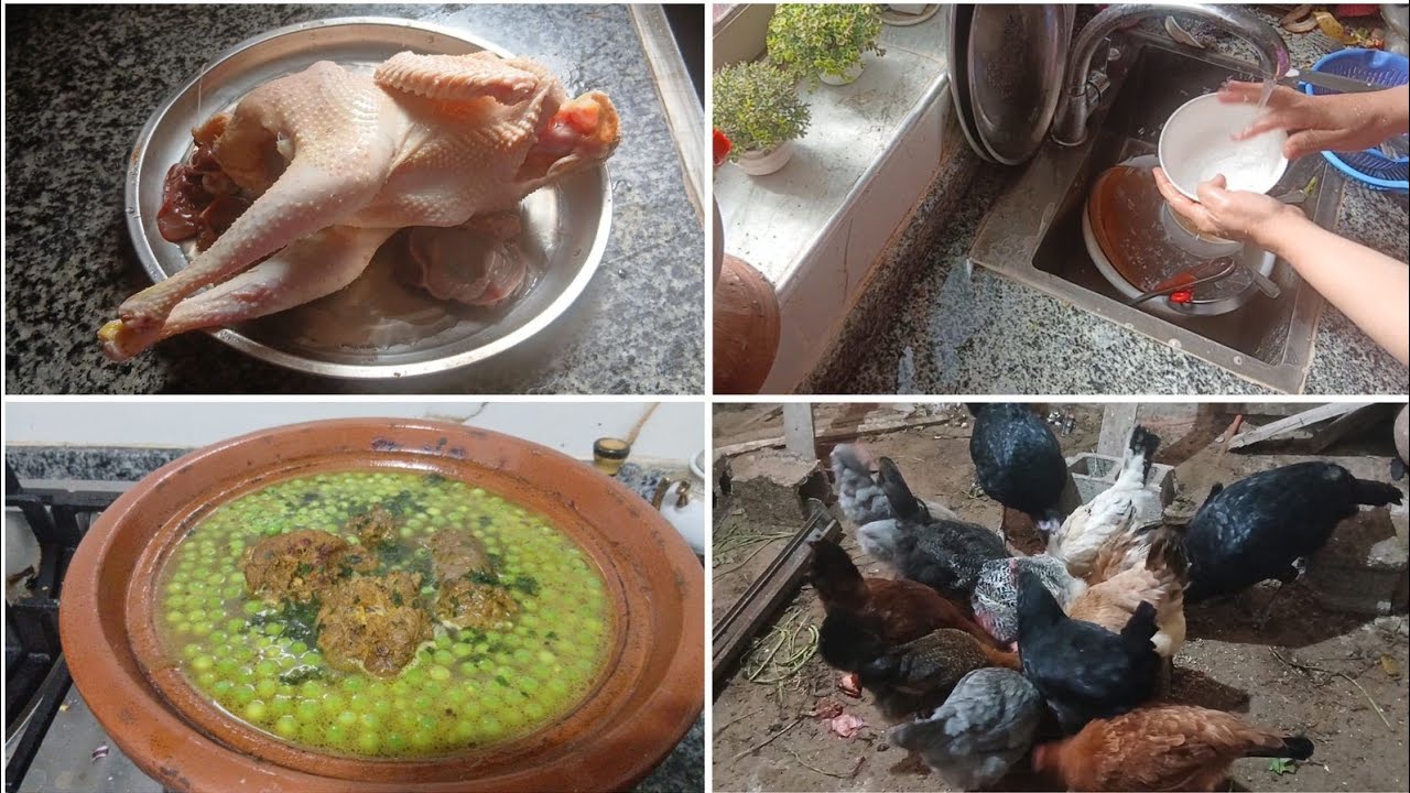 نهار عامر بالشقا. دبحت 🐔 الفروج وبقى قيا .طاجين البيبي بالجلبانة 
