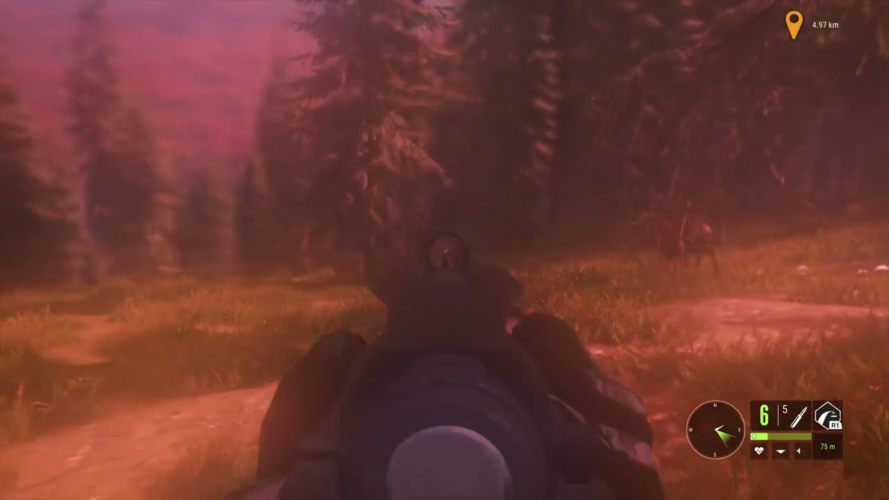 6 down deer+Bison CRAZY STAMPEAD