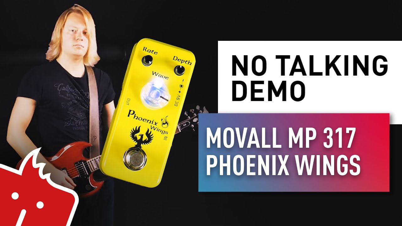 Movall MP 317 Phoenix Wings // NO TALKING DEMO
