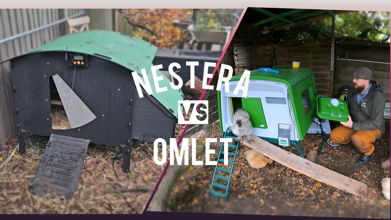 IM VERGLEICH: Omlet⚡️Nestera  🐓 ||+ Nestera 5%Rabattcode (Infobox) || Hühner im Garten halten #5