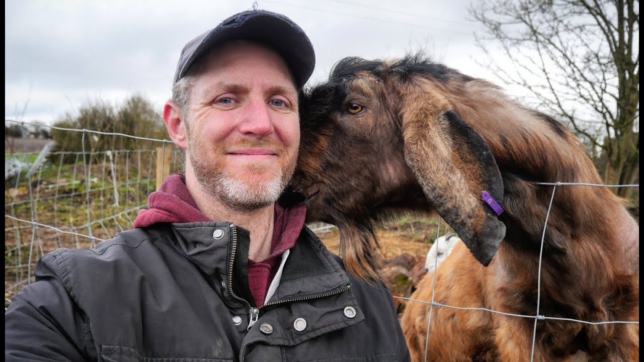 My NEW Anglo Nubian Goat is HERE | 100 Days of Farming (Day 35)