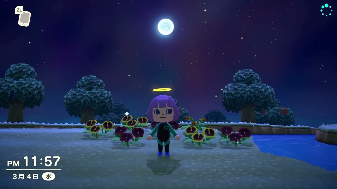 流星群が降るきなこ島 ASMR 【ACNH】