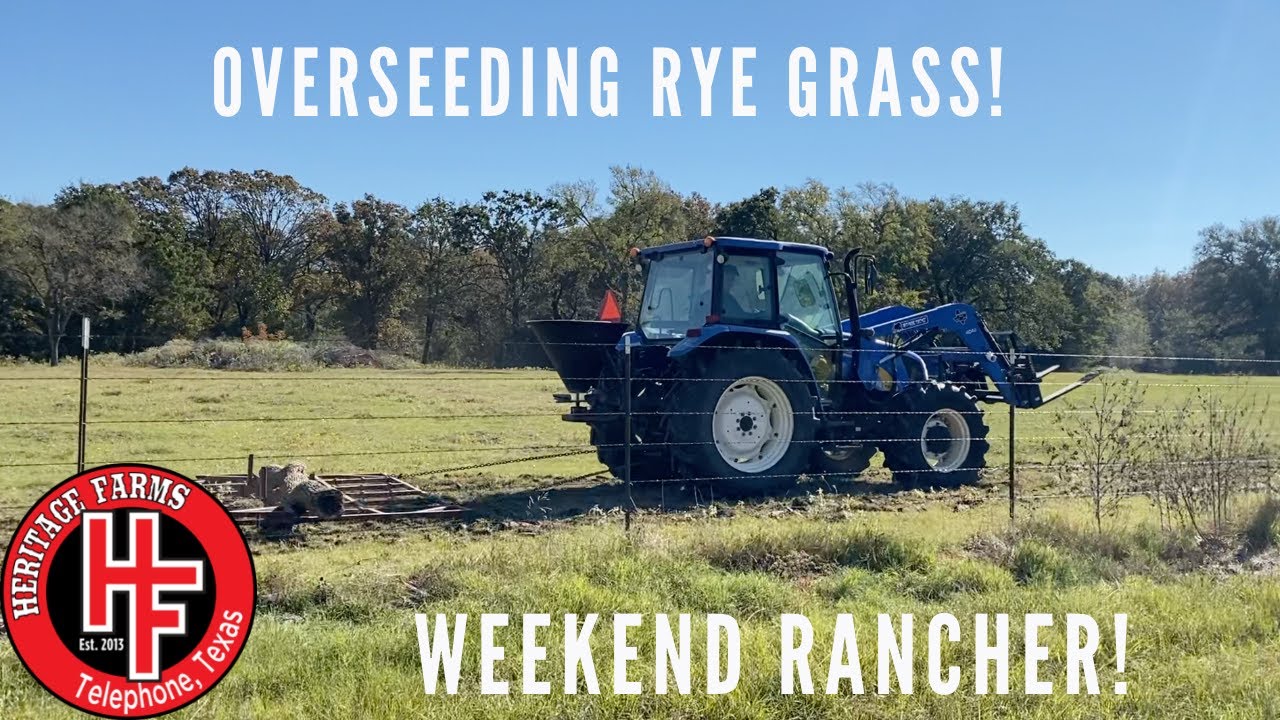 Overseeding Rye Grass!