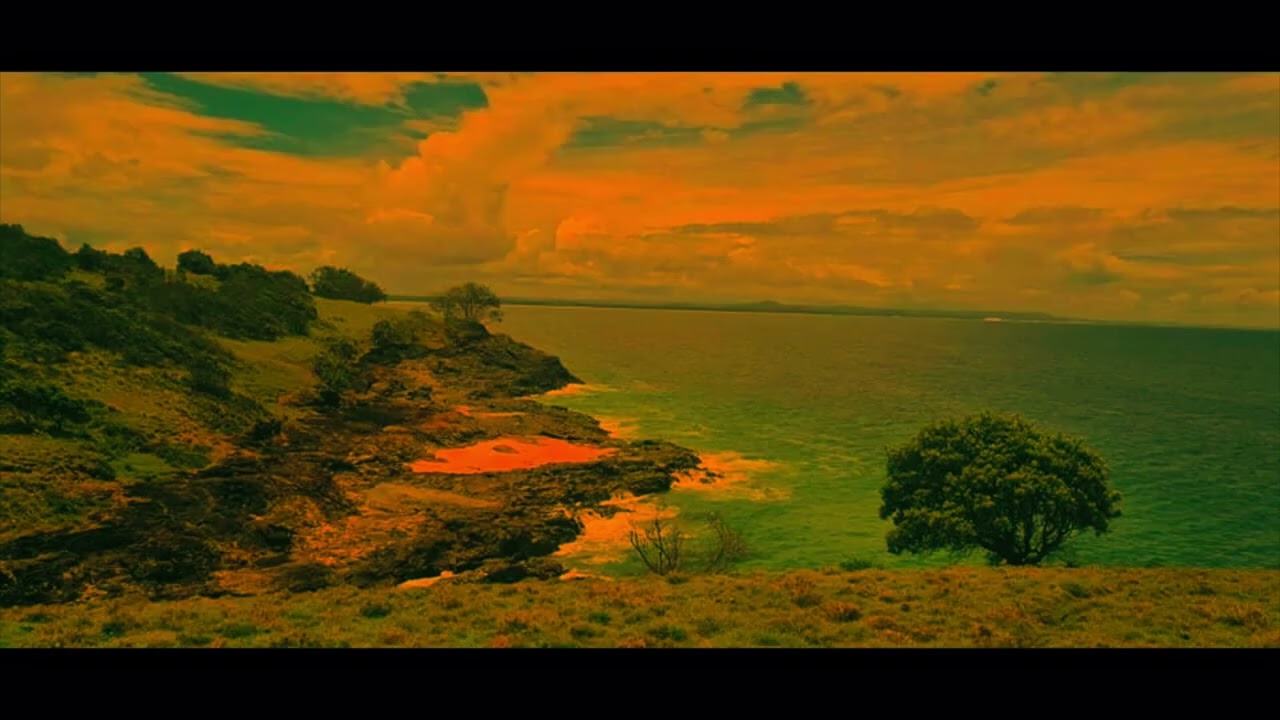 Random shots, iPhone and DJI Neo drone. Luna Fusion edit