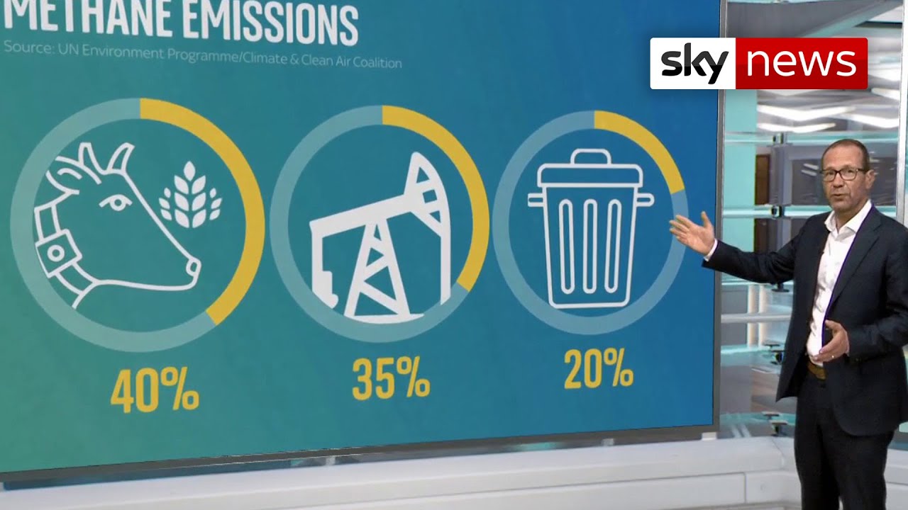 Climate: What would happen if we halved methane gas emissions?