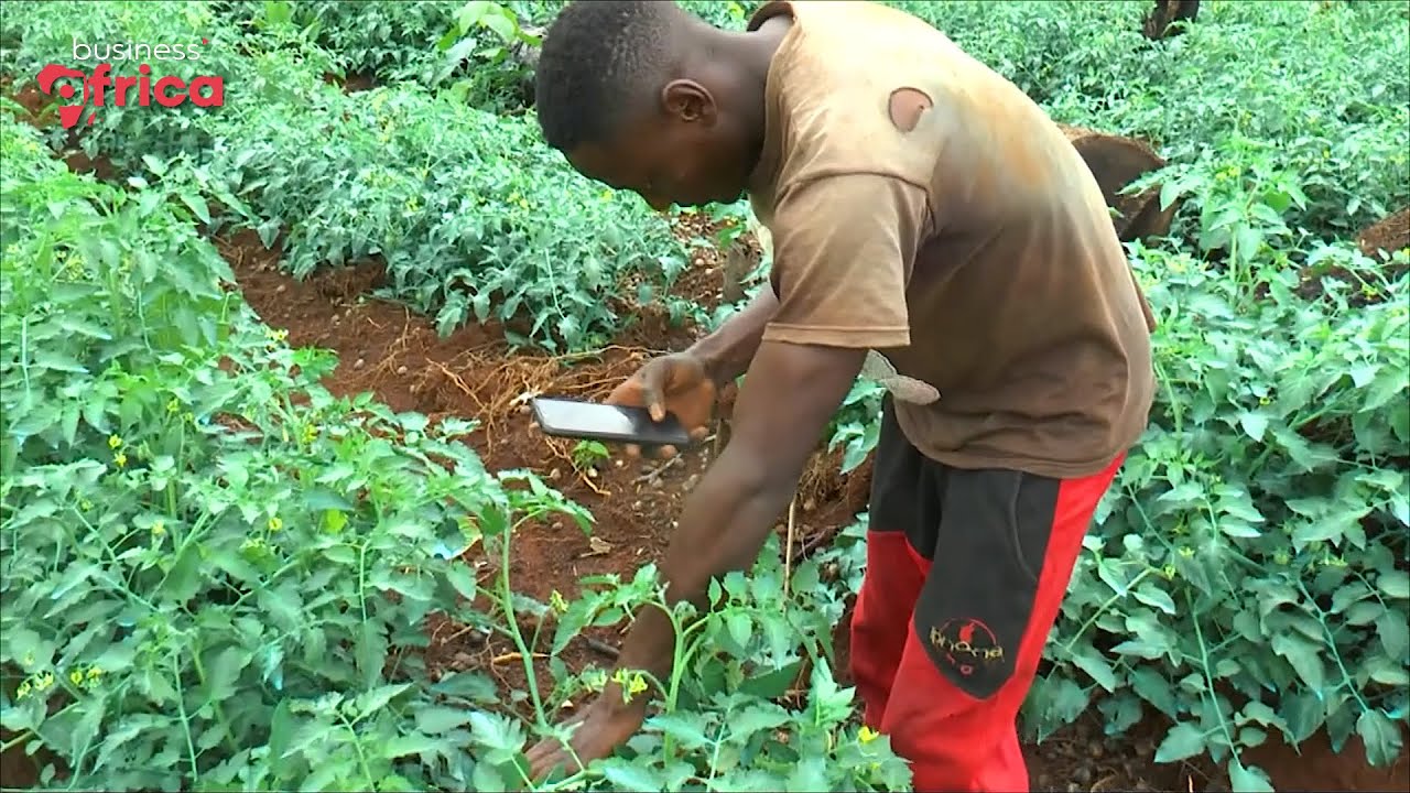 Agrix Tech, une start-up au service des agriculteurs