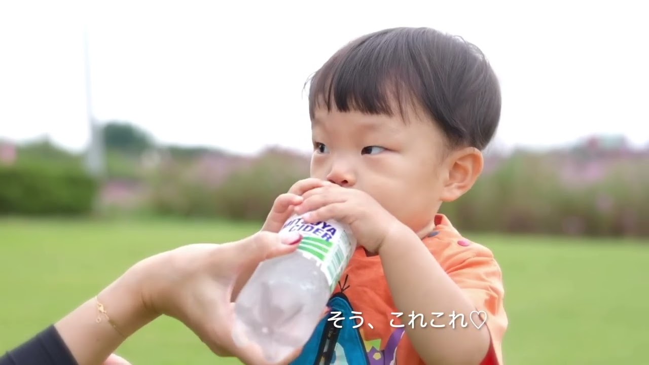 コスモス畑で1歳半のお祝い🎂