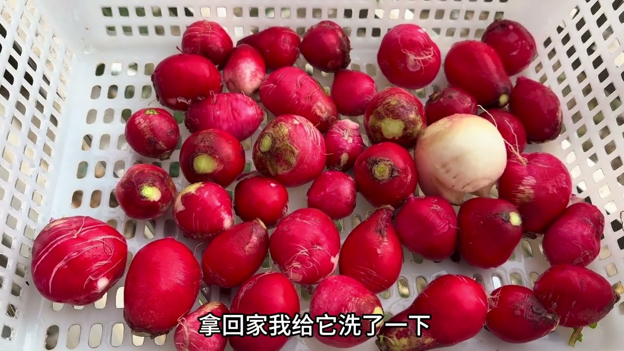 榜一大姐说要来买菜，于是回老家之前在采摘一批菜出摊#记录真实生活#我的乡村生活 #抖音商城#新农人计划#三农