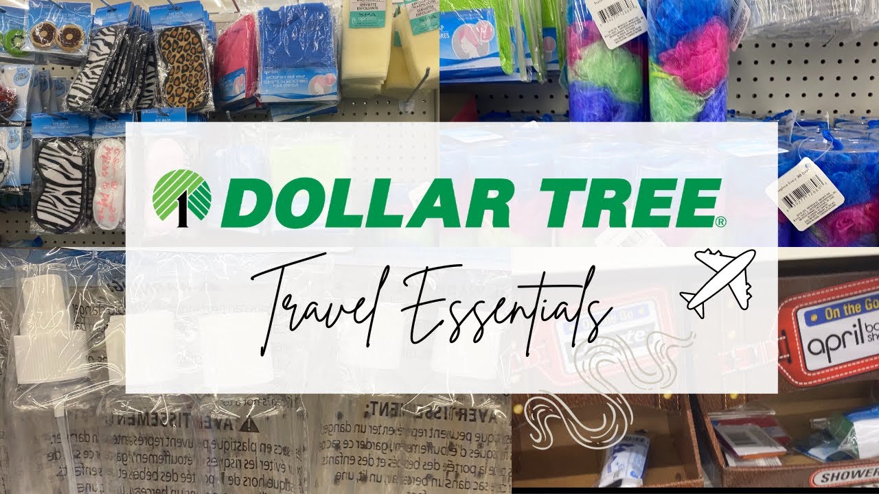 Dollar Tree Travel Essentials | Tanasia K