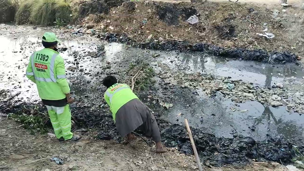 Suthra Punjab project ki kamyabi ka raaz