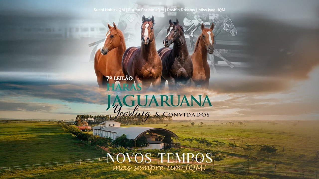 LEILÃO HARAS JAGUARUANA YEARLING & CONVIDADOS