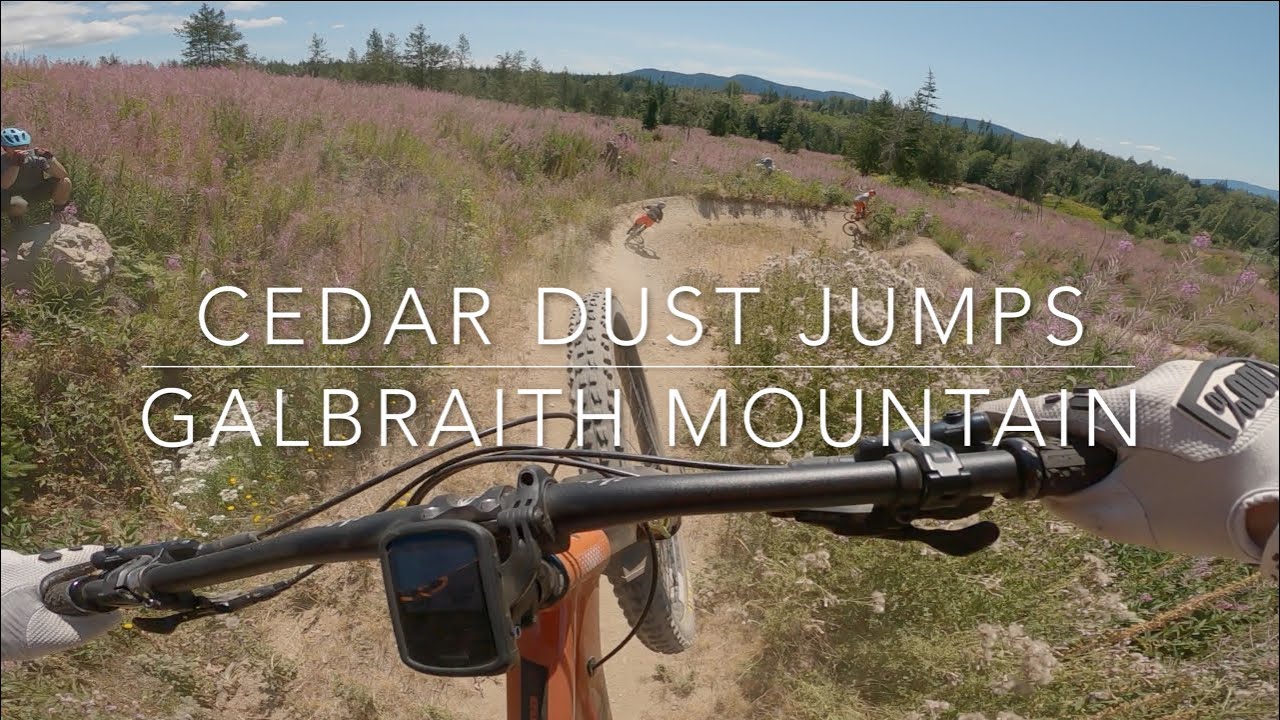 Cedar Dust Jumps - Galbraith Mountain - Bellingham, Washington