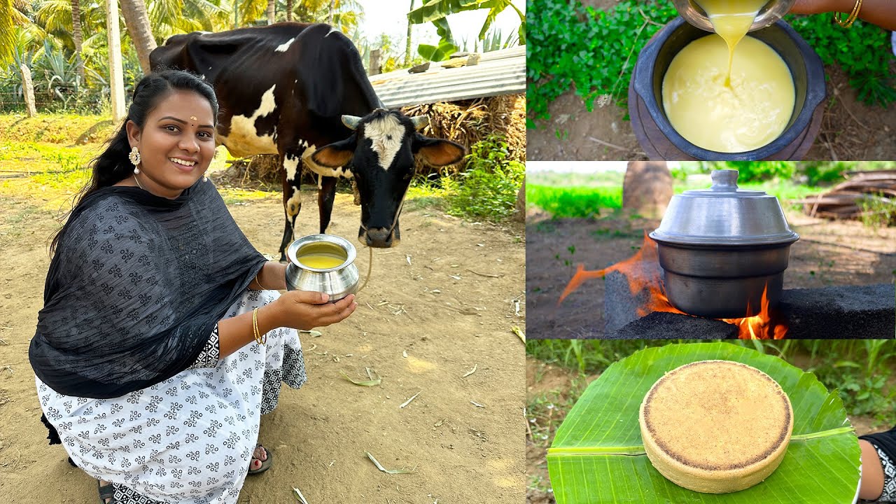 சுவையான சீம்பால் செய்முறை | Cow Colostrum Milk Recipe | Banana Leaf Cooking