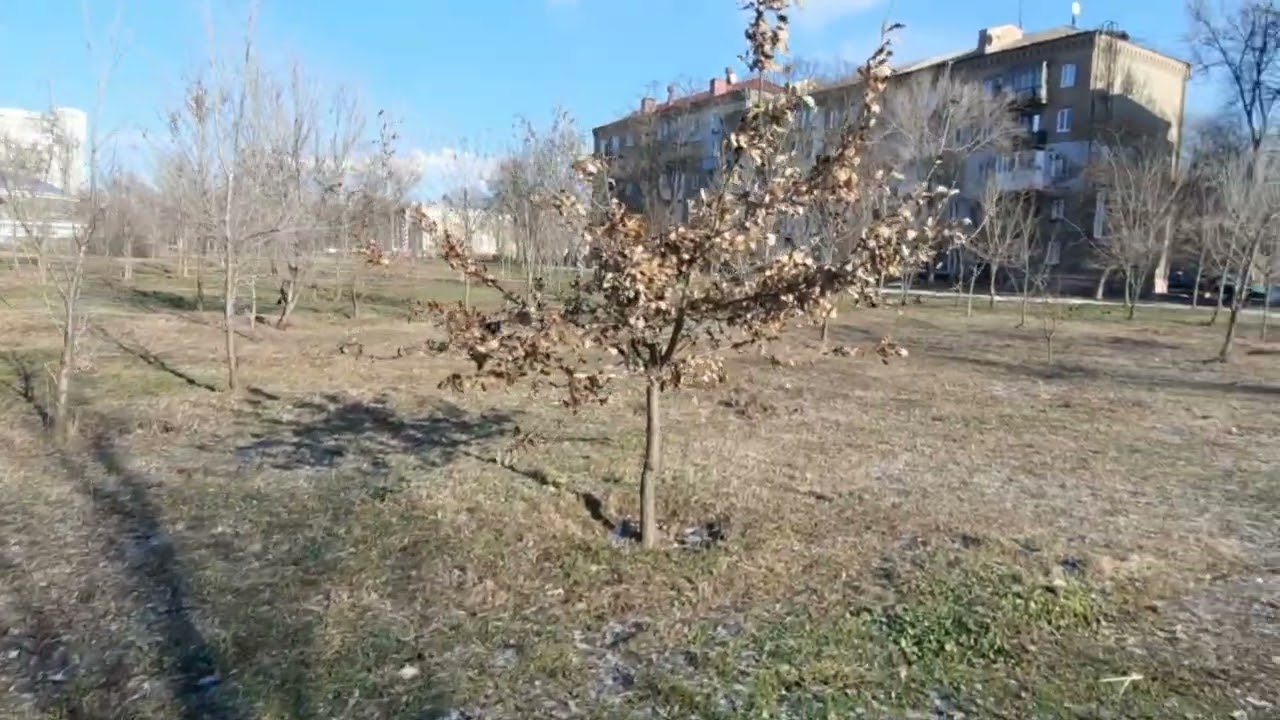 Запорожье  Запоріжжя о новой истории.