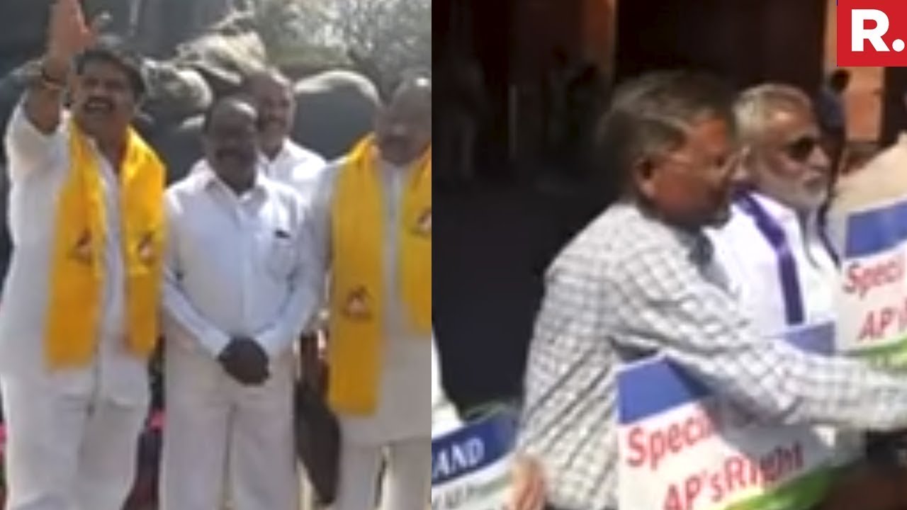 TDP & YSRCP MPs Clash Outside Parliament Gate