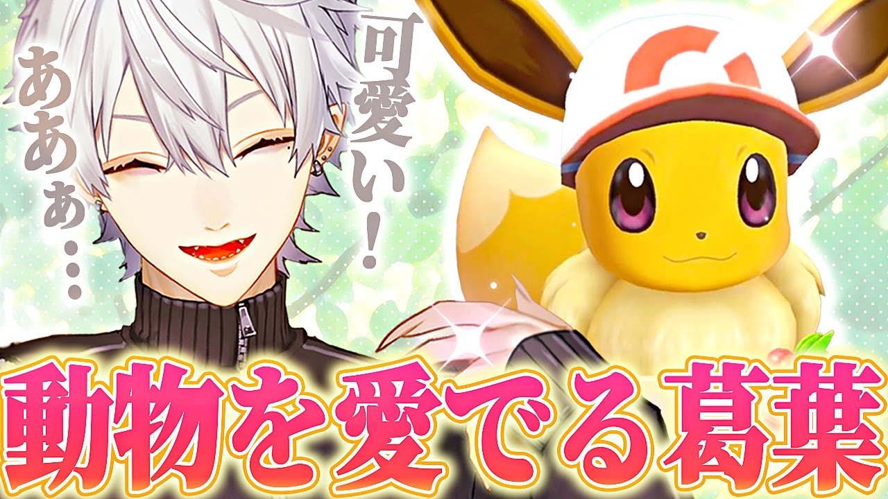 動物や生物を愛でる葛葉まとめ【にじさんじ/切り抜き/葛葉】