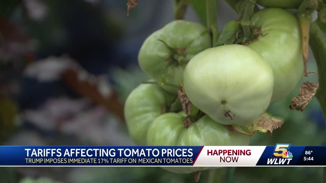 Tomato tariffs driving up prices, but a local greenhouse has smart way to save