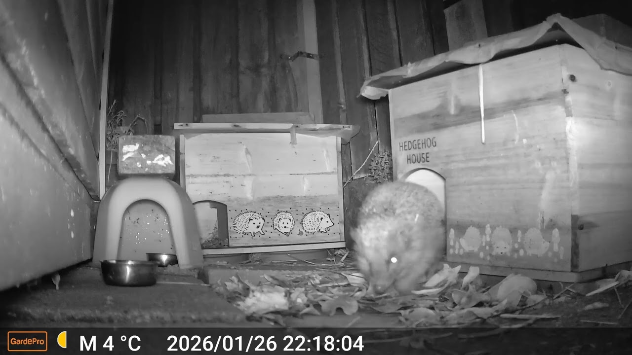 2026 01 26 2145 to 2026 01 27 0738