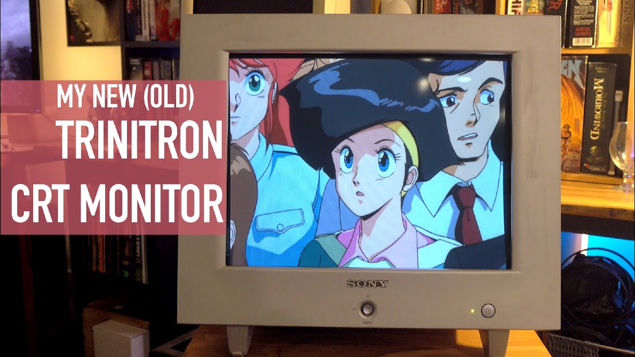 Sony Trinitron CRT Monitors Are Still Beautiful (Picked Up a 19