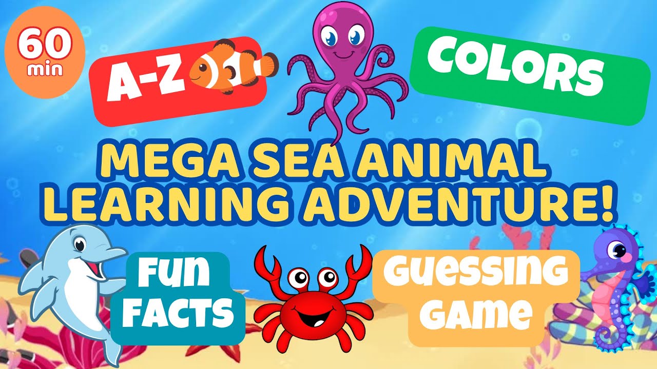 Sea Animal Adventure! Learn ABCs, Colors, Fun Facts & Guessing Game | Kids Educational Video