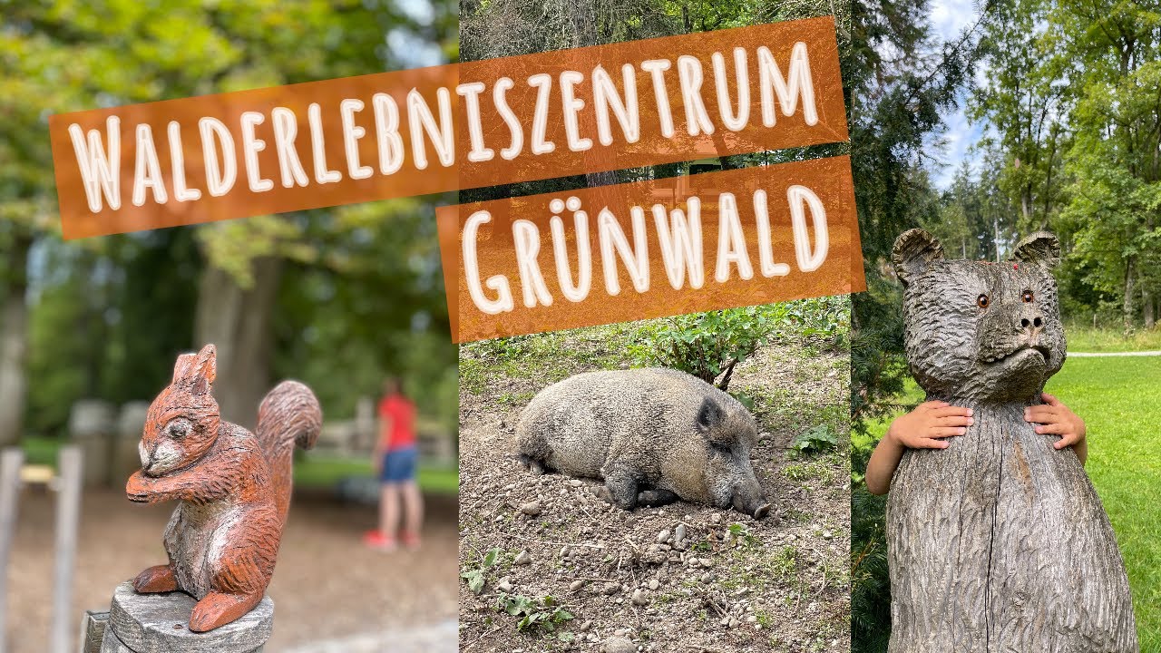 Walderlebniszentrum Grünwald