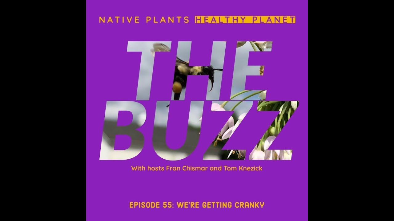 Native Plants Healthy Planet Ep. 55: The Buzz - We're Getting Cranky!