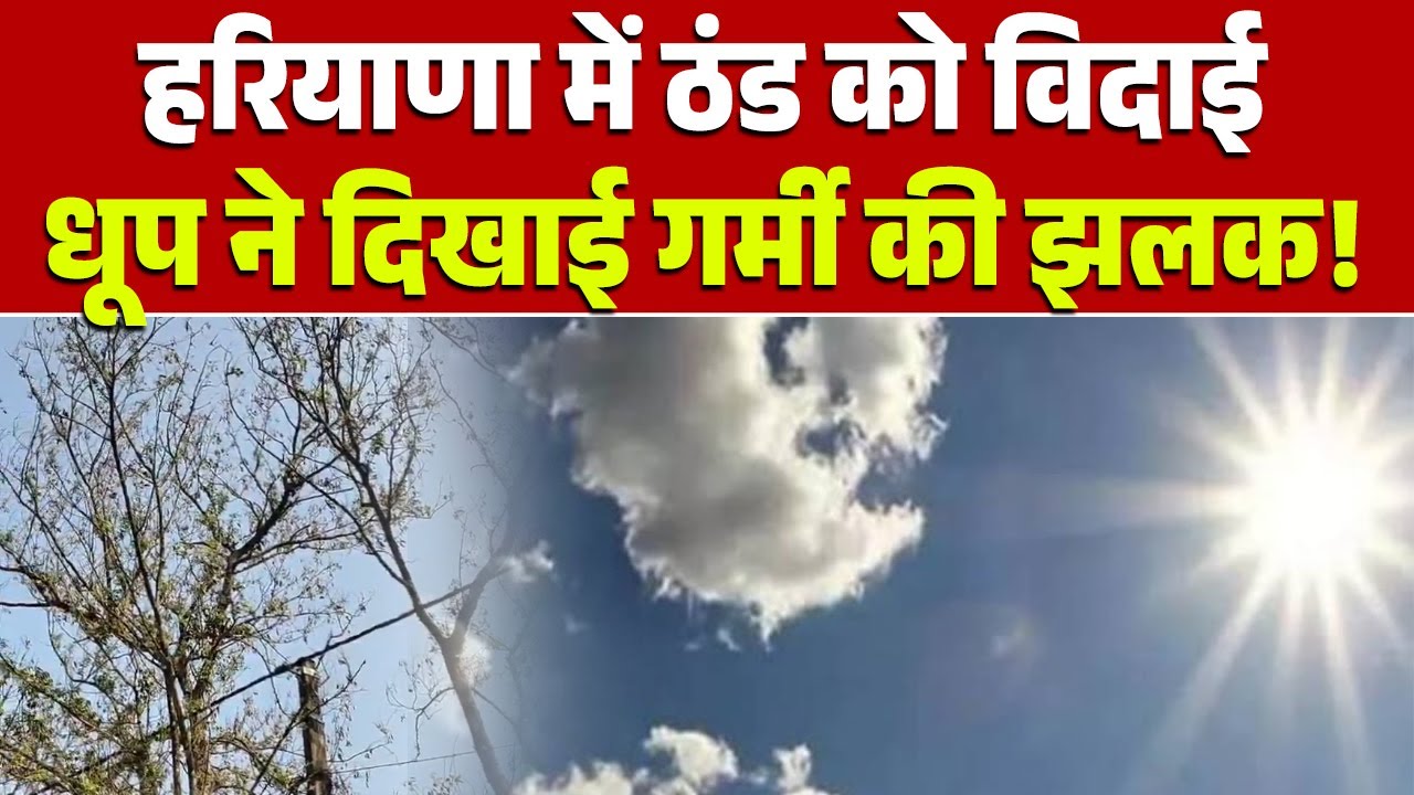 हरियाणा में ठंड को विदाई, धूप ने दिखाई गर्मी की झलक!