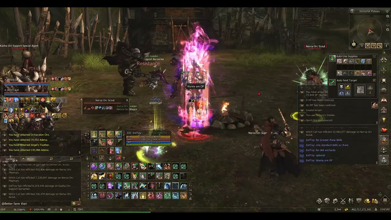 Lineage II Official Naia Server: Wynn Summoner 120 lvl Testing PVE, Artifacts & Collections Review.