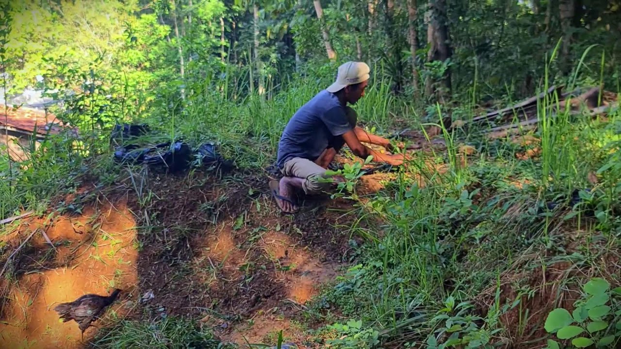 Satisfying Weeding: Hand-Cleaning the Garden Bed _FarmersLife _Shorts