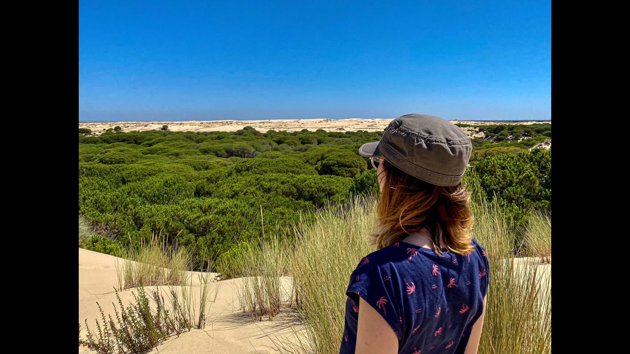 PARQUE NACIONAL DE DOÑANA - GUIA DE VIAJE HUELVA, ANDALUCIA