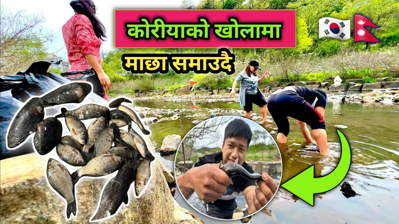 FISHING IN KOREA 🇰🇷🇳🇵🐟 🐟 Korea ma maxa daro samaiyo😊😊 