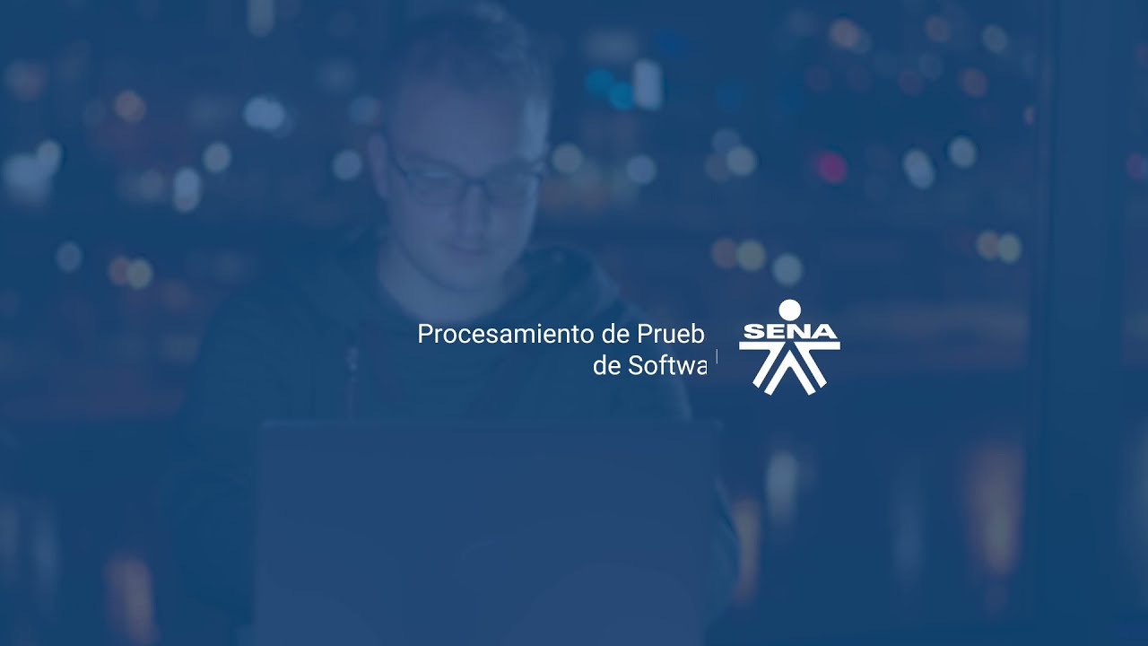Oferta de programa: Procesamiento de Pruebas de Software