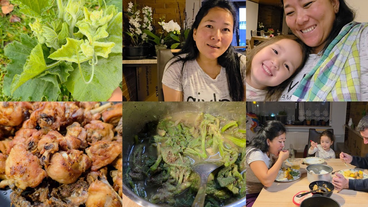 Harvesting pumpkin leaves & cooking with perilla seeds😋Chicken curry in two different styles.