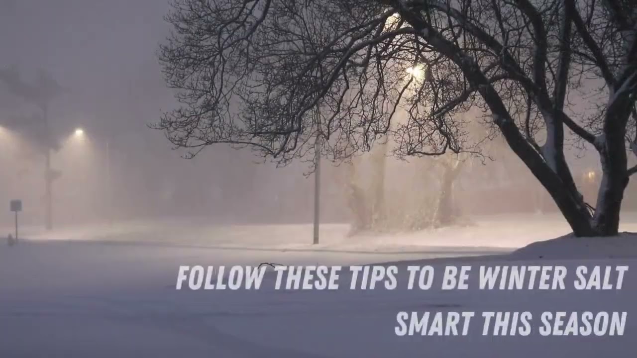 Winter Snow and Ice Management Tips from NVRC