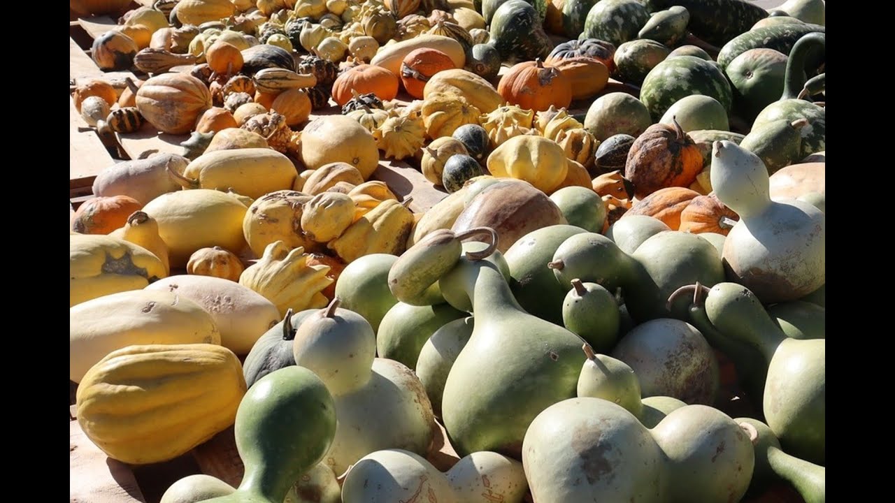 Food Hubs of KDOC 06 2025