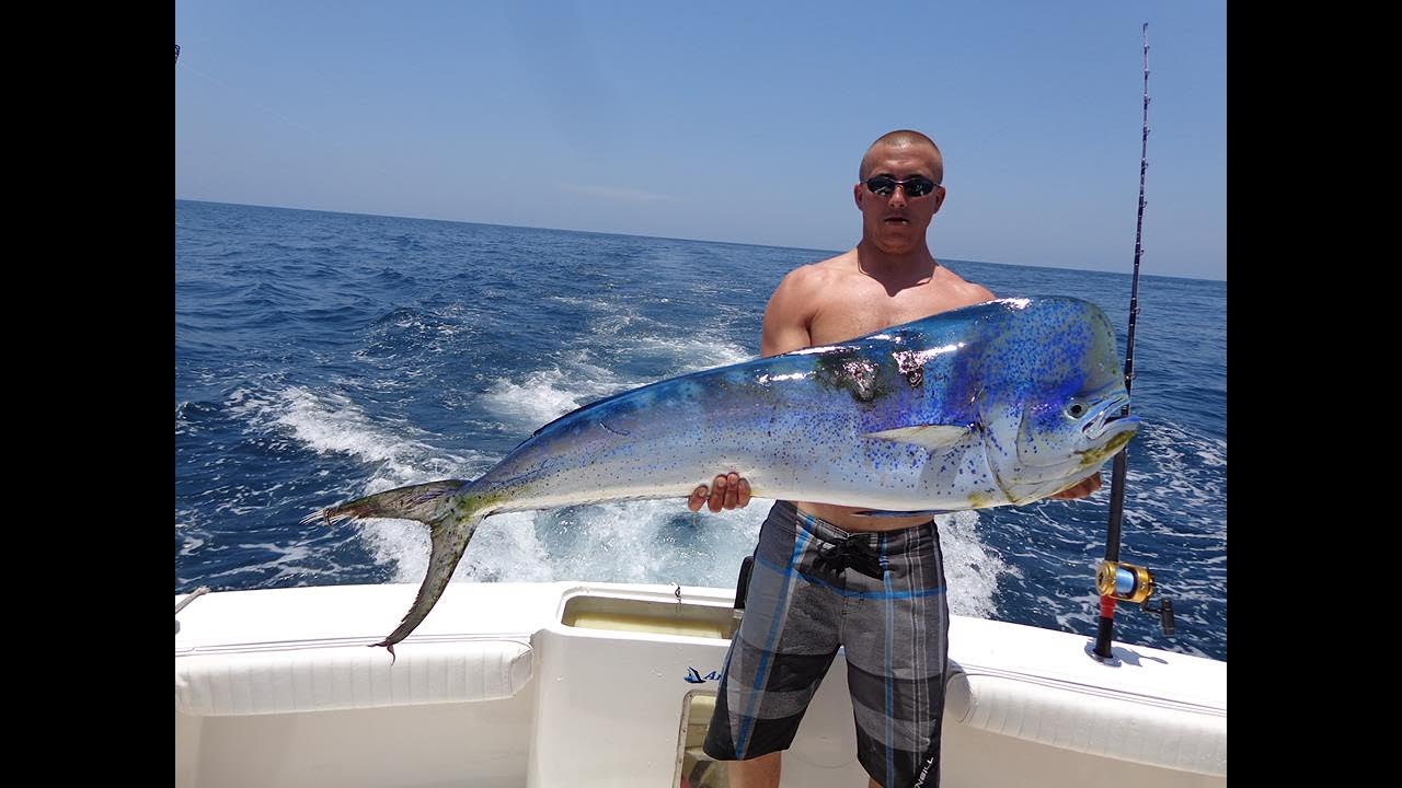 Mahi Mahi / Dorado Sportfishing compilation with PV Sportfishing charters Puerto Vallarta, Mexico