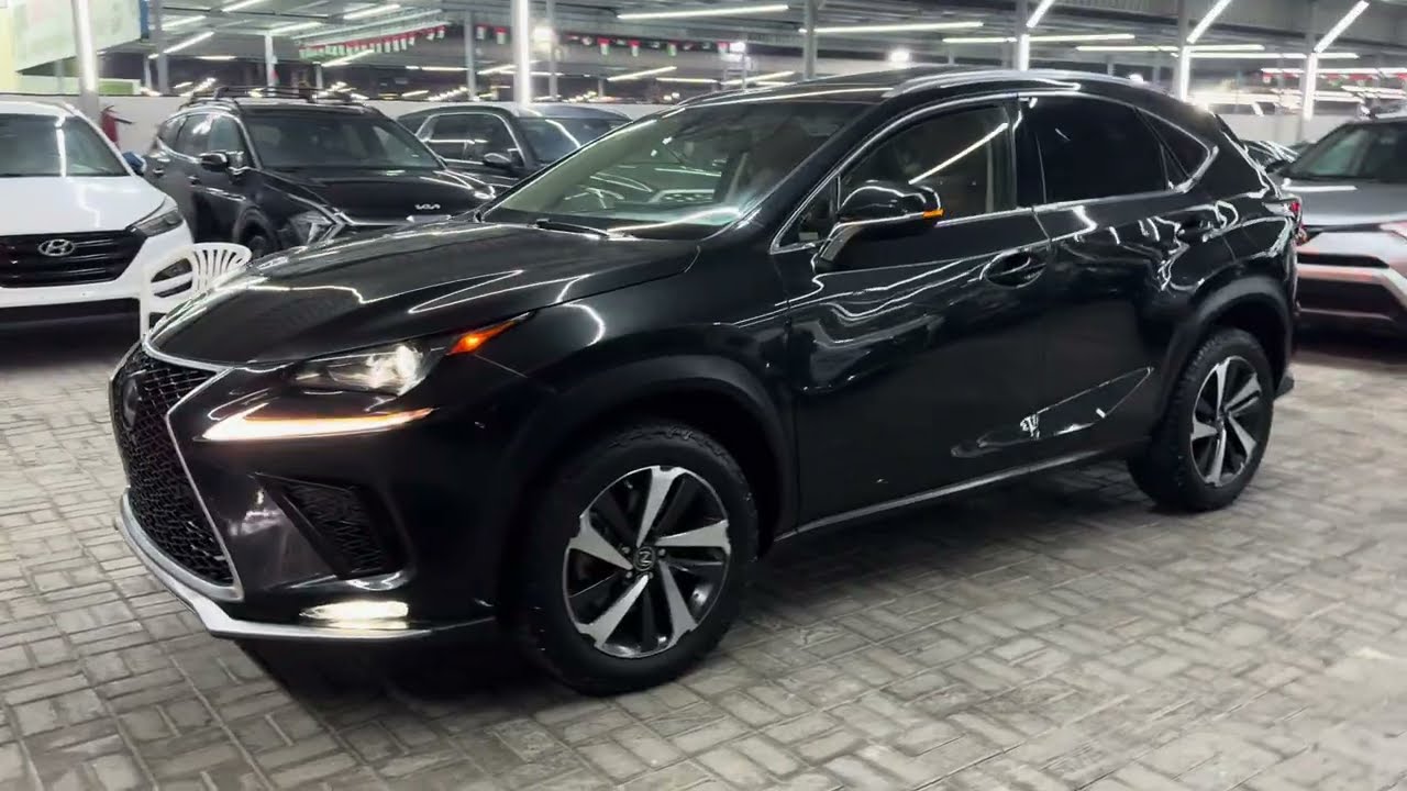 Lexus NX300 2020