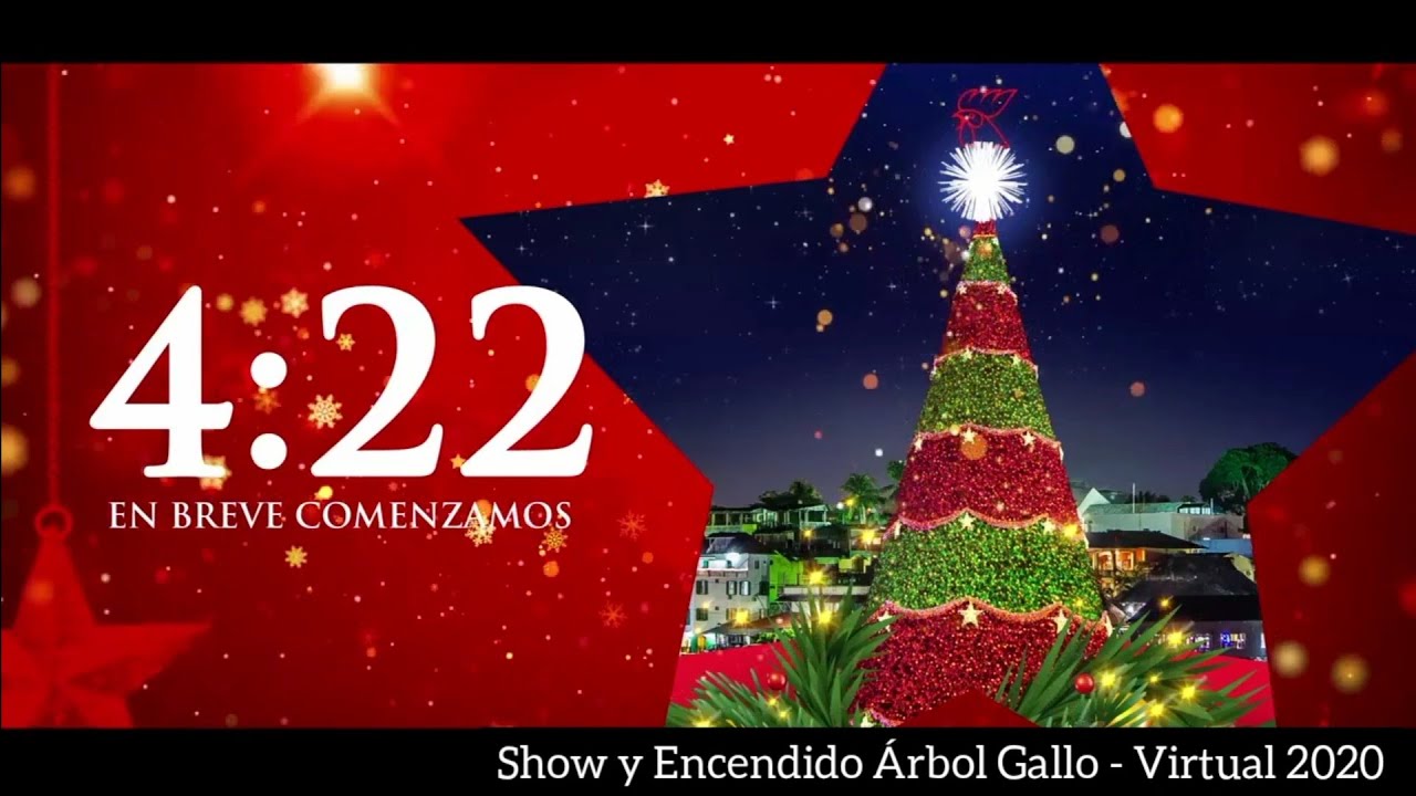 #Arbol #Gallo Encendido y Show, ÁRBOL GALLO - Virtual 2020