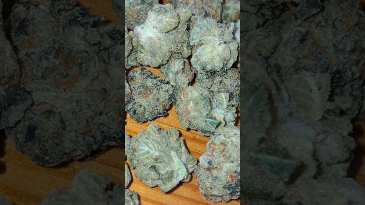 Glass Pharms - First Class Funk 
