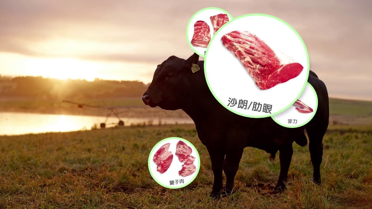 老師教你認識牛肉部位
