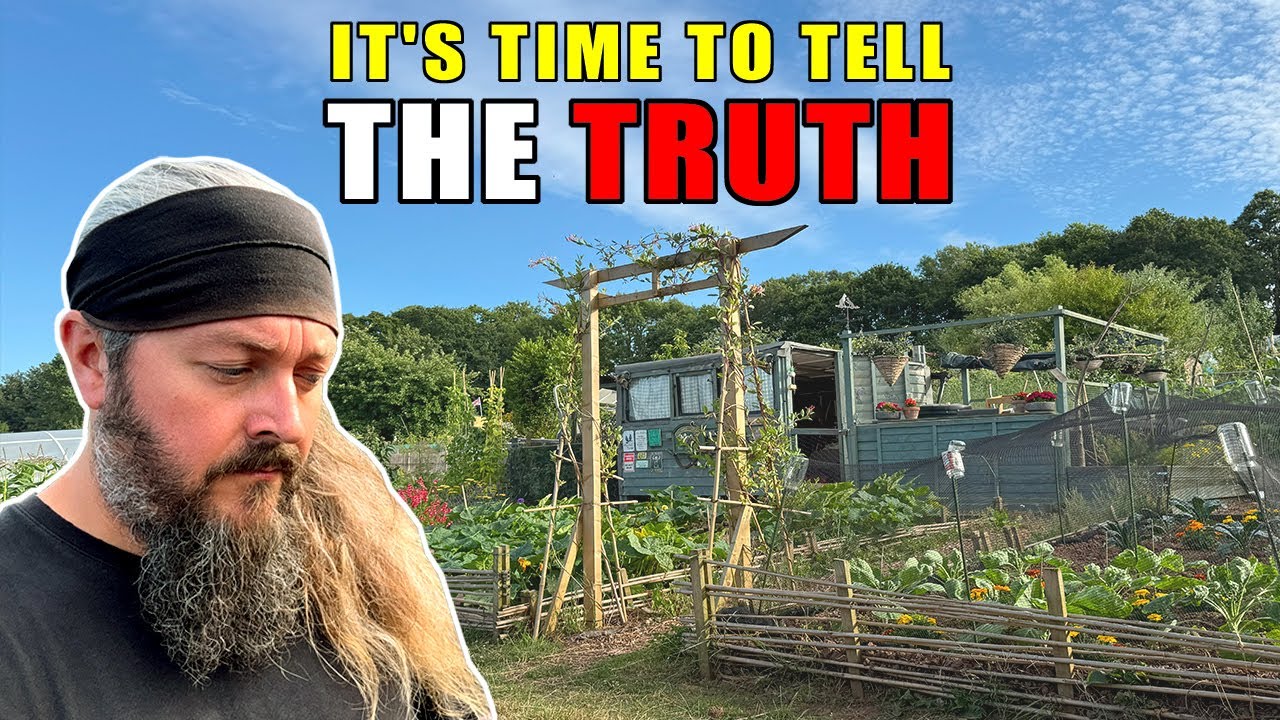 I Was Close To Giving Up | Allotment Gardening UK