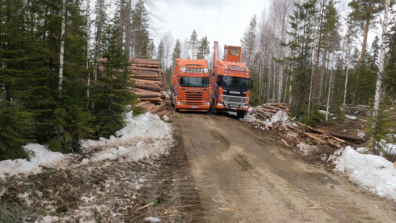 Log Trucking - Another beautiful day at work
