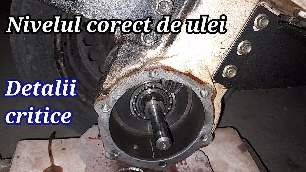 O-mac/Proseries/Progarden  Cum se schimbă Satelitul Diferențial la Motocultor part.2