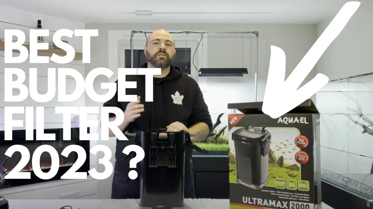 Aquael Ultramax 2000: Unboxing, Performance and Review