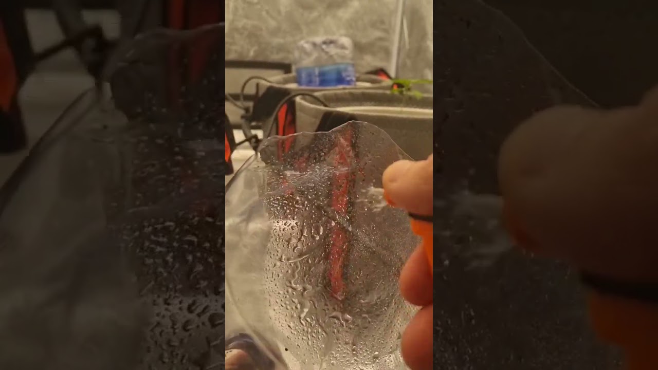 This DIY humidity dome works great! #germination #humidity #seedlings #seeds #plants #thegrobro