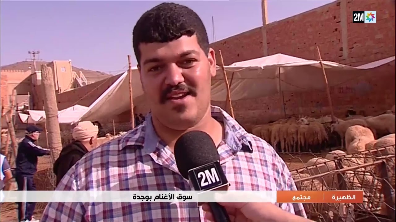 جولة بأحد أسواق الأغنام  بوجدة