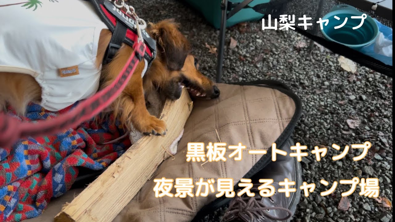 【犬連れキャンプ】夜景が見える黒坂オートキャンプ 202509