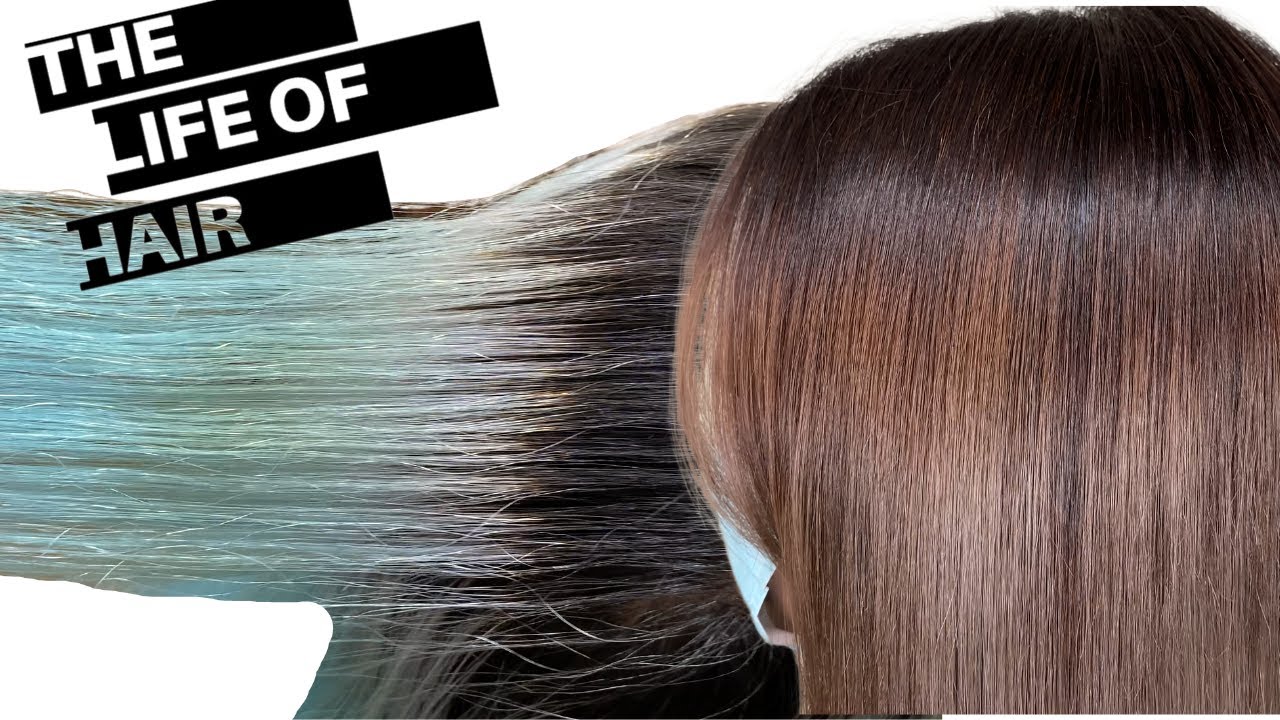 How To Colour Correct BLUE GREEN Hair When Nothing Goes To Plan 😱