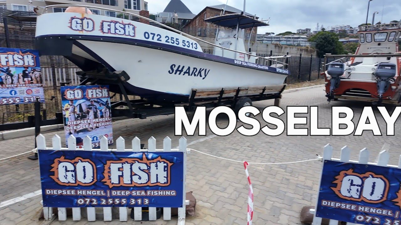 FISHING CHARTERS mosselbay harbour